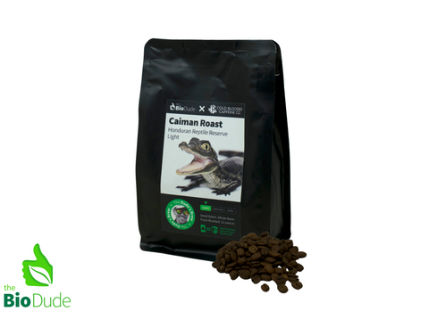 The Dude's Brew Caiman Roast LIGHT - Premium whole bean coffee