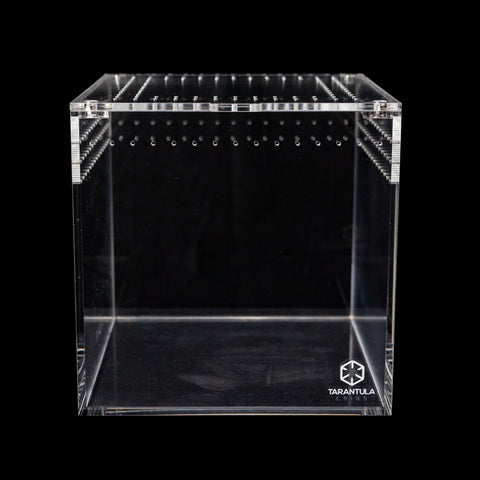 Tarantula Cribs - 6" Tarantula Crib