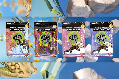 4 Pack of Supplements