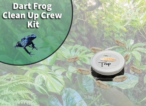 Poison Dart Frog Clean Up Crew Pack FREE SHIPPING