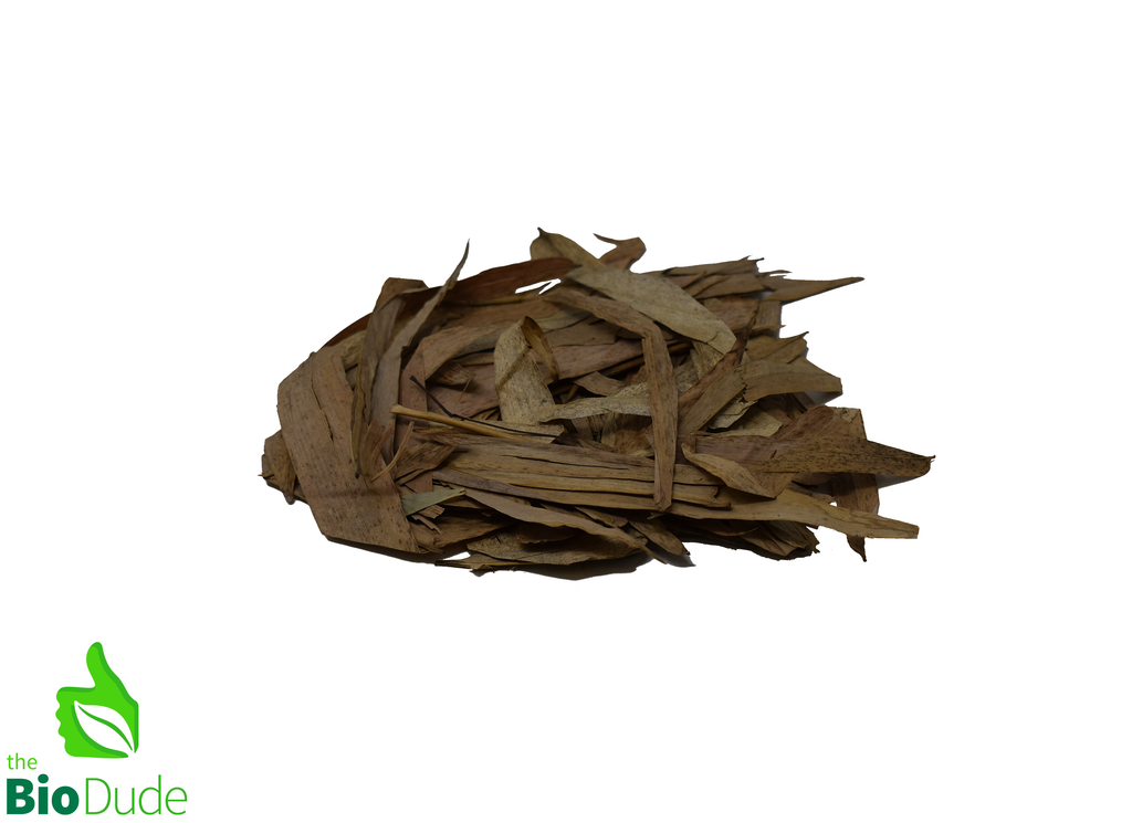 Colombian Leaf Litter - Bamboo Leaves -  Guadua Sp. 1.5 oz