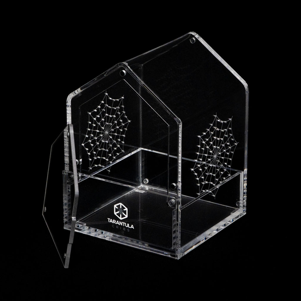 Tarantula Canopy CORE 5x5x7 Jumping Spider Enclosure