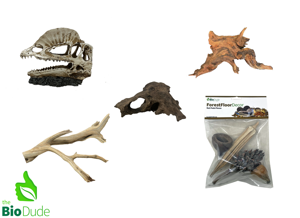 Dilophosaurus Decor Kit
