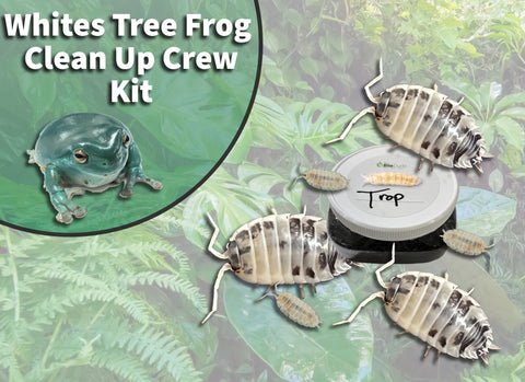 White's Tree Frog Clean Up Crew Pack  FREE SHIPPING