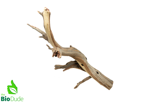 Sandblasted Ghostwood Manzanita Branch