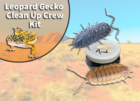 Leopard Gecko Clean Up Crew Pack  FREE SHIPPING