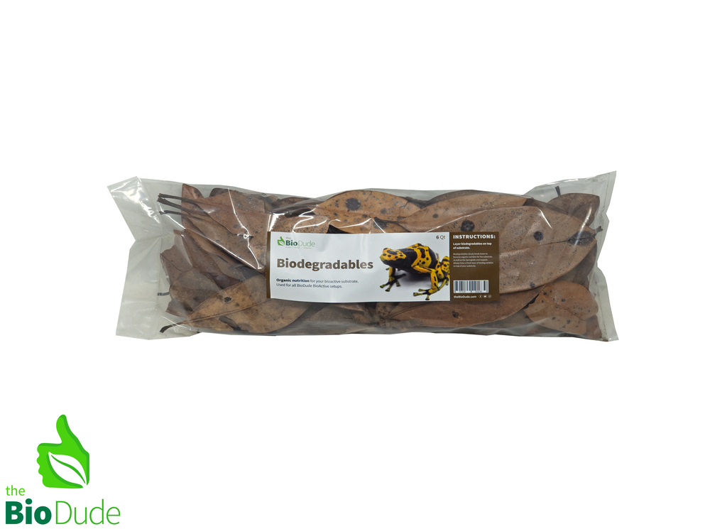 Bio Dude Leaf Litter - Magnolia Leaves