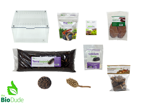 Premium Isopod Enclosure Kit - Medium