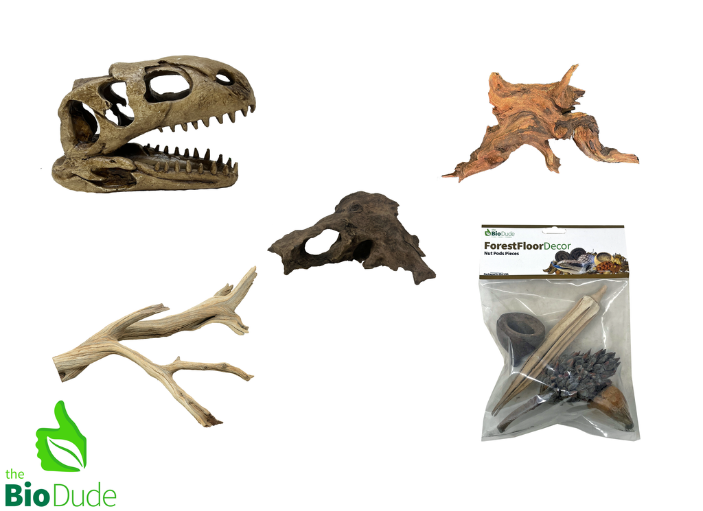 T-Rex Decor Kit