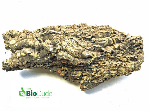 Large *Show Grade* Cork Bark Flat 24" - 32"