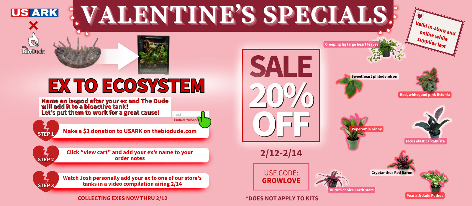 Curated bioactive kits