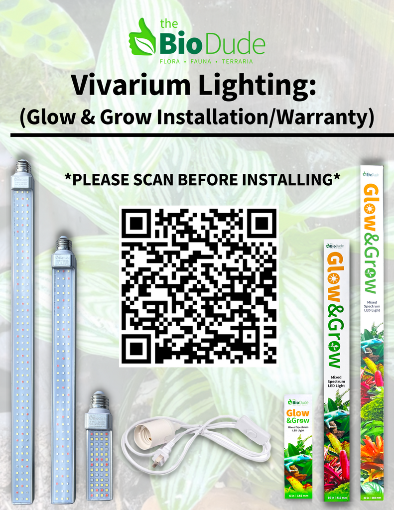 Vivarium Lighting...Explained
