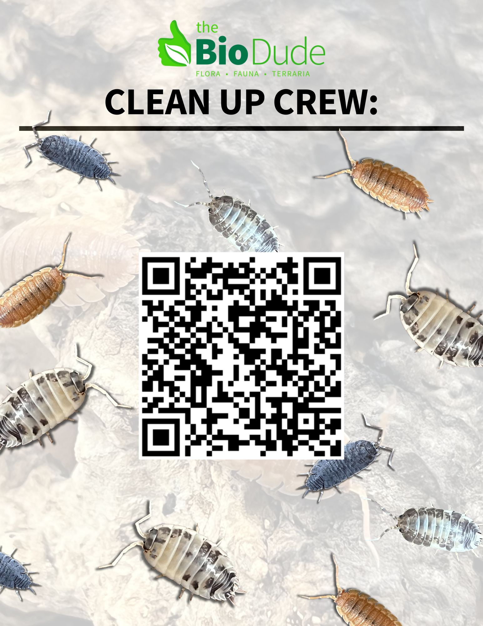 Clean Up Crews...Explained