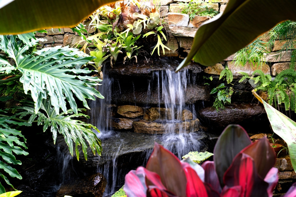 How to Create a Waterfall in Your Vivarium