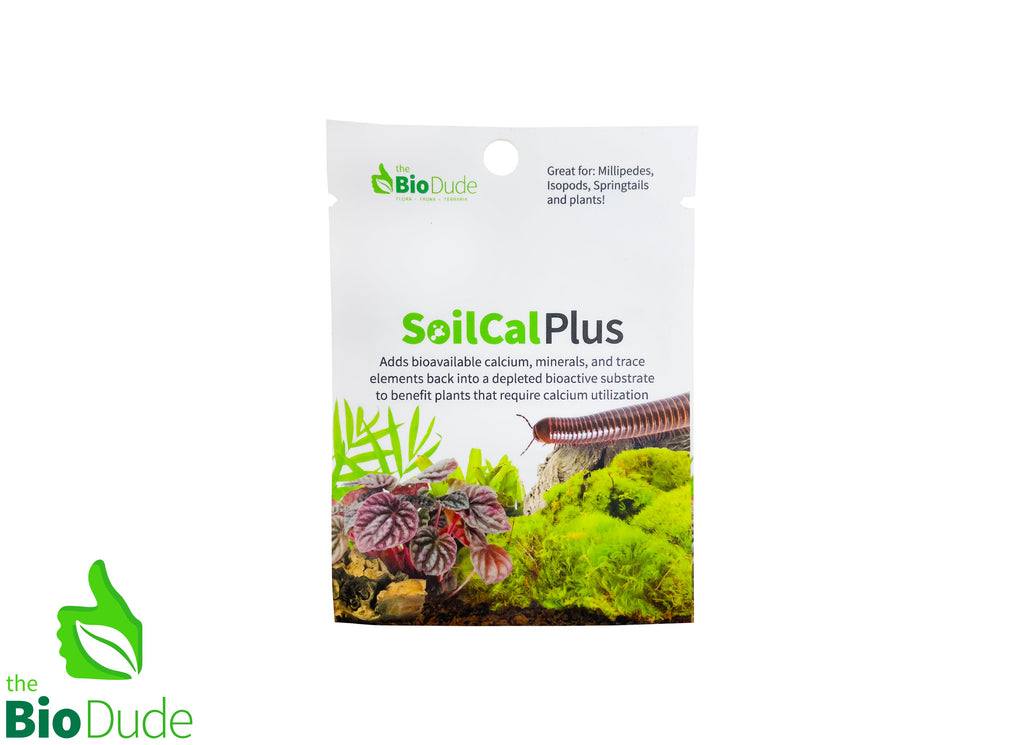 Boost Your Bioactive Setup with The Bio Dude's Soil Cal Plus