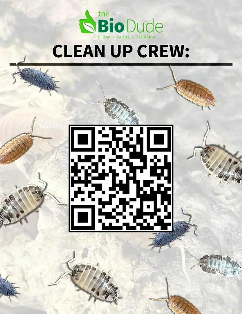 Cleaner Crew Insects Clean Up Crews...Explained – The Bio Dude