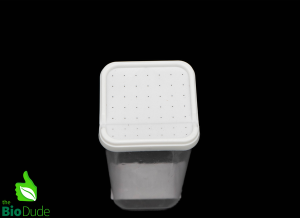 11 oz Square Spider Bottle w/ lid – Invertebrate Enclosure - 11 ounces