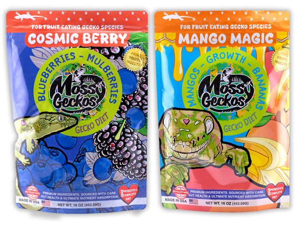 16oz 2 Pack Gecko Diets