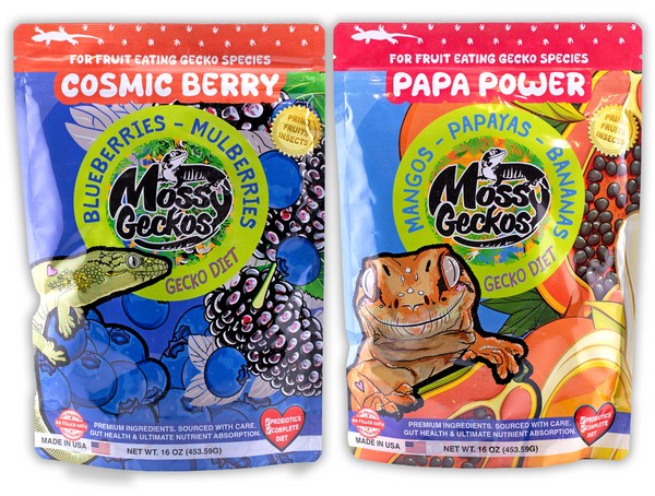 16oz 2 Pack Gecko Diets