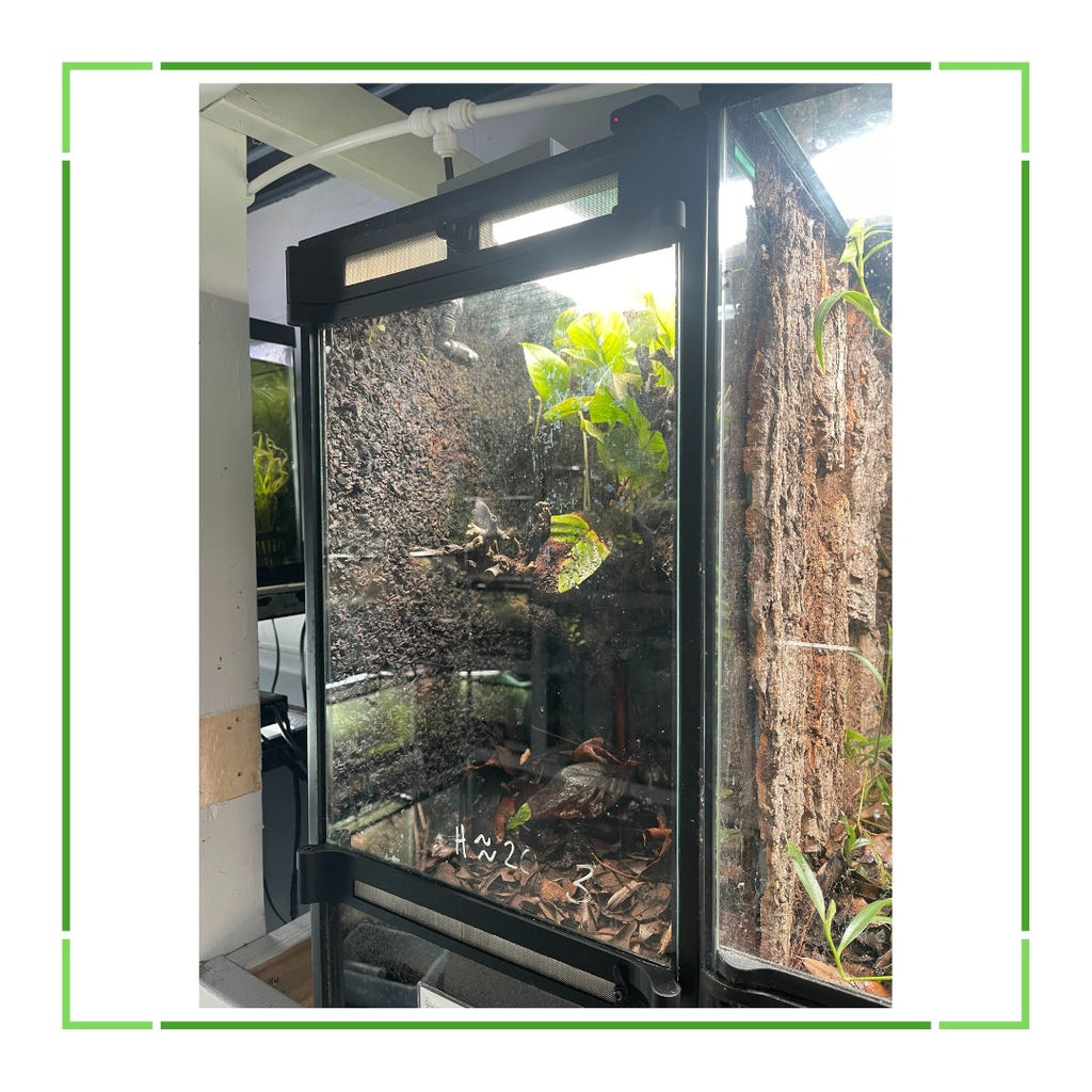 Thrive Ecosystems Aqueon Aquarium Conversion Kit