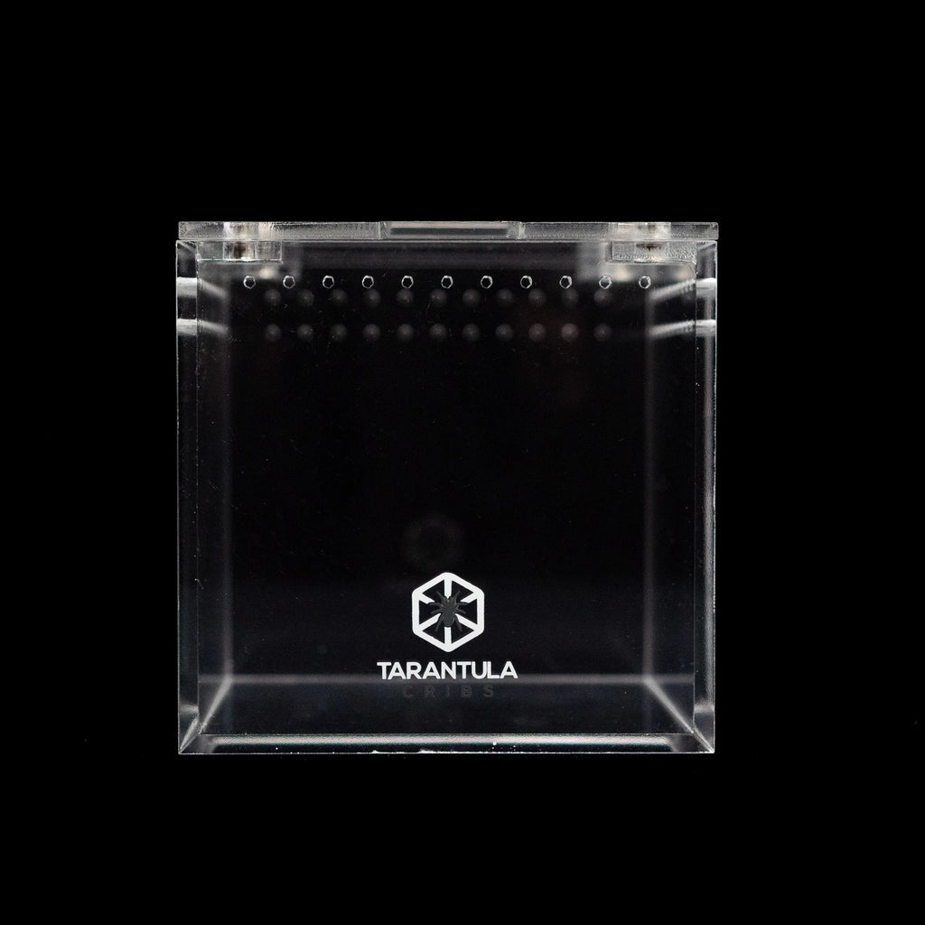 Tarantula Cribs - 4" Cube