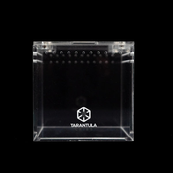 Tarantula Cribs - 4" Cube