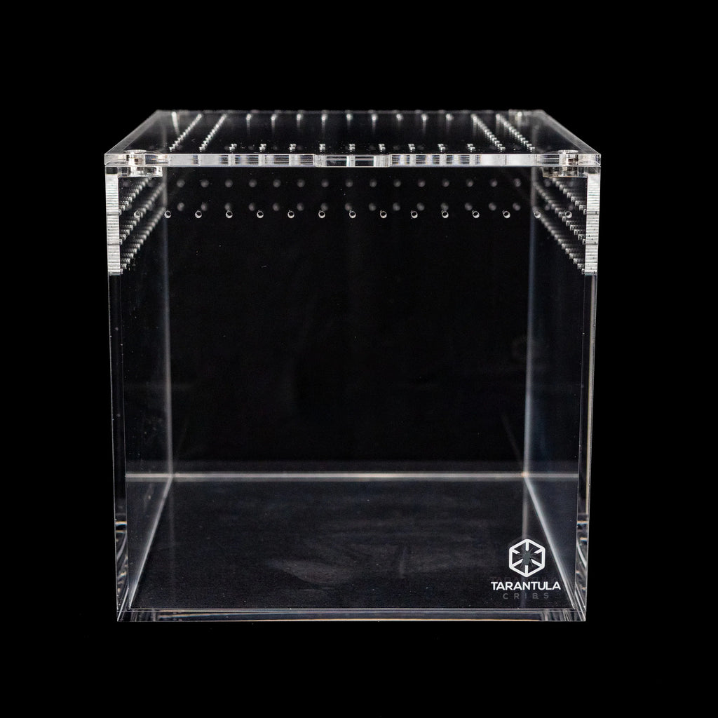 Tarantula Cribs - 6" Tarantula Crib