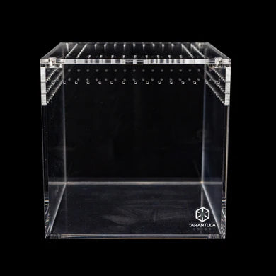 Tarantula Cribs - 8" Tarantula Cube