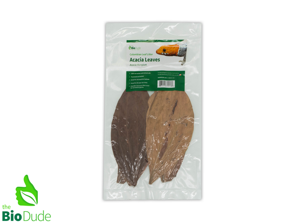 Colombian Leaf Litter - Acacia Leaves - 15 count