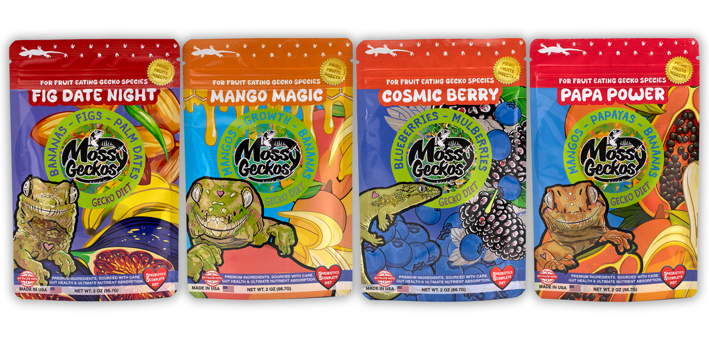 4 Pack of Gecko Diets