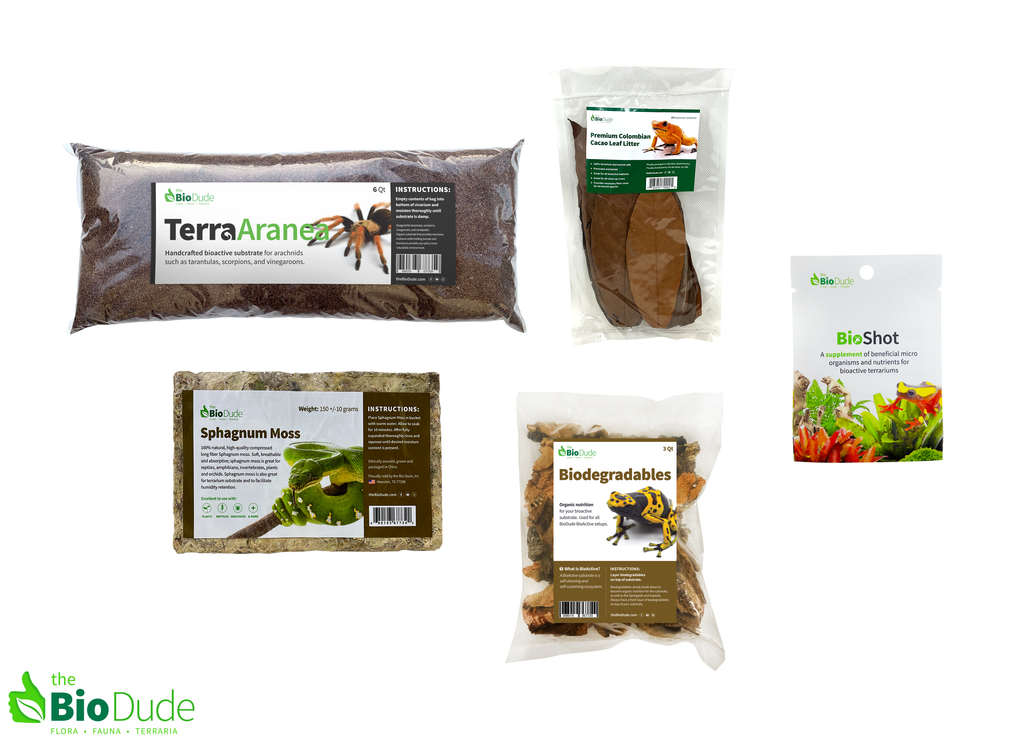 Terra Aranea Bioactive Kit 12" x 12"