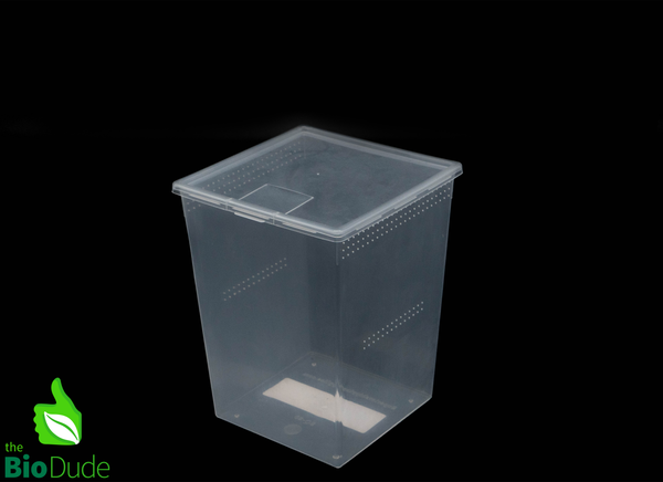 Vented Square Invertebrate Enclosure – 7 oz, 24 oz & 80 oz