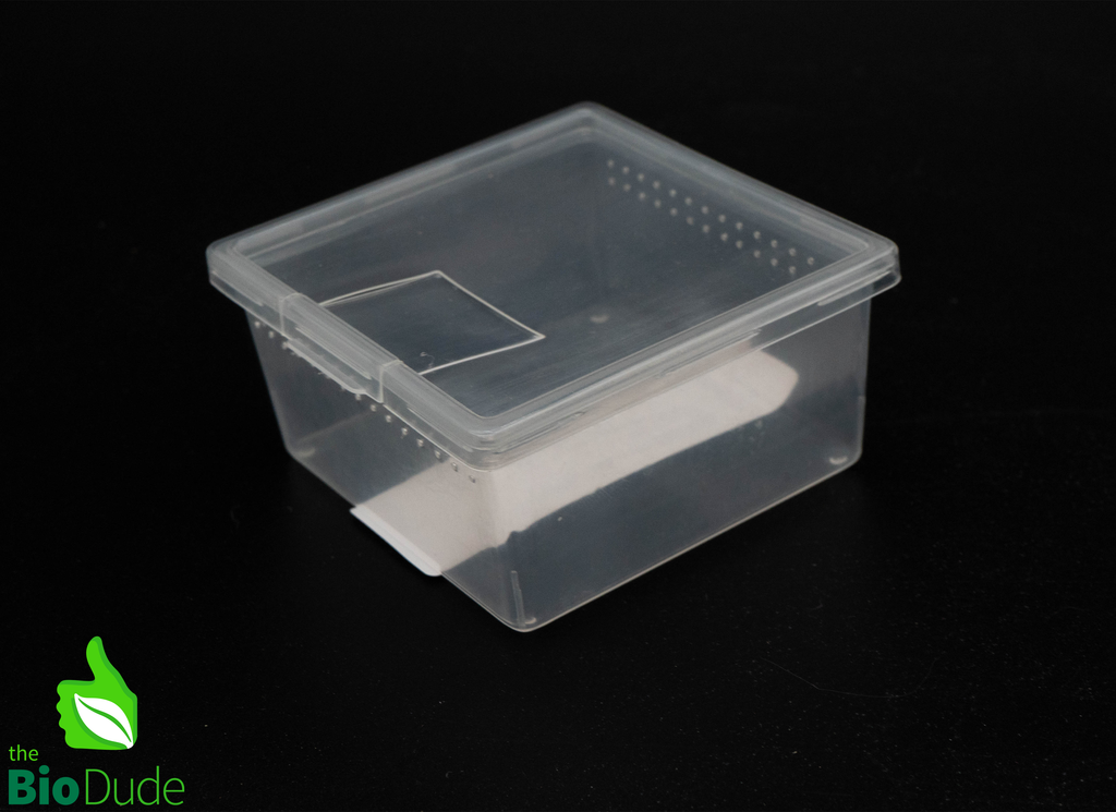 Vented Square Invertebrate Enclosure – 7 oz, 24 oz & 80 oz