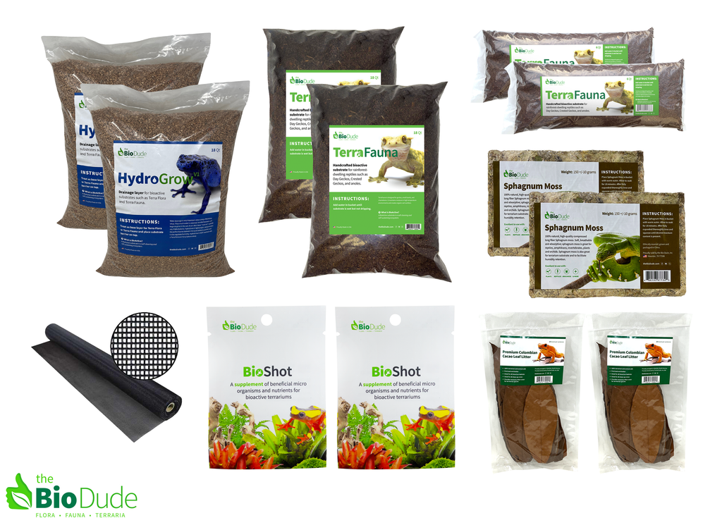 Rainforest Terrarium Kits - Terra Fauna | The Bio Dude