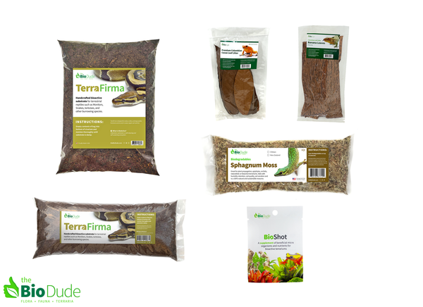 Terra Firma Bioactive Kit 20 gallon long