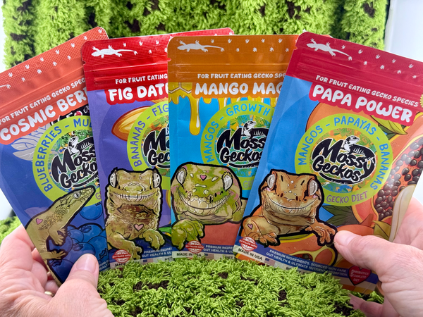 4 Pack of Gecko Diets