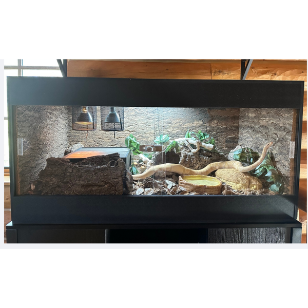 The Bio Dude® Exclusive 4x2x2 Enclosure