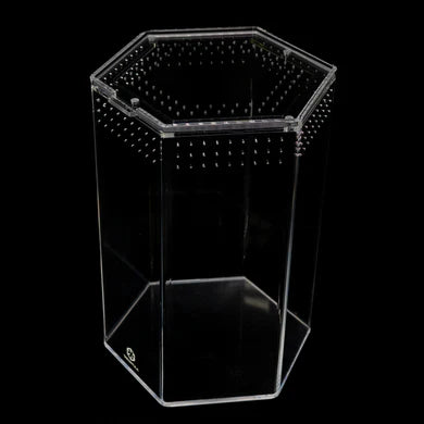 Tarantula Cribs - Hexagon Crib