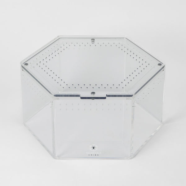 Tarantula Cribs - Hexagon Crib