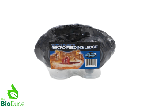 Pangea Ultimate Magnetic Gecko Feeding Ledge - triple magnet