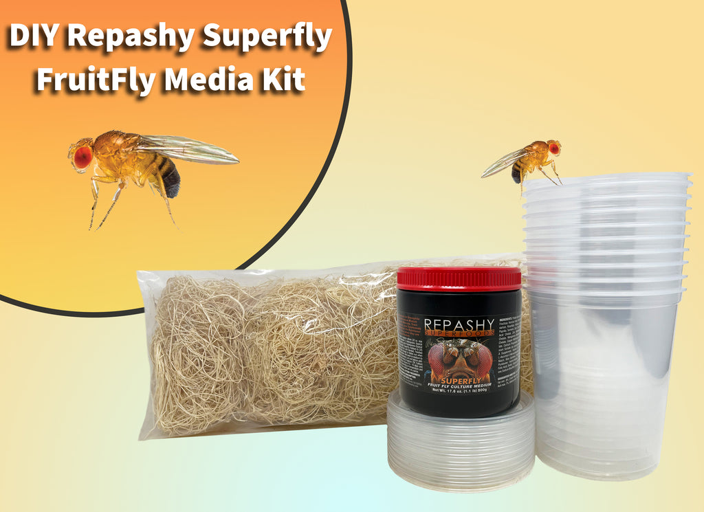 Fruit Fly Cultures & Media for Reptiles