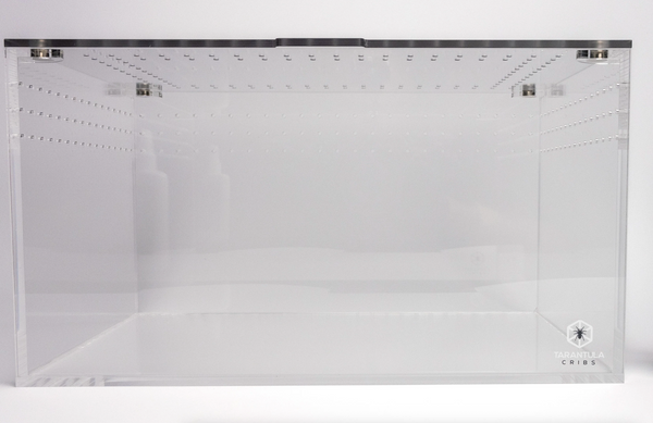 Tarantula Cribs - Large Cuboid 14x10x8