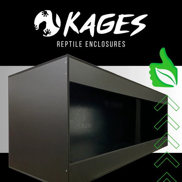 The Bio Dude® Exclusive 4x2x2 Enclosure