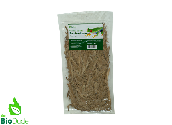 Colombian Leaf Litter - Bamboo Leaves -  Guadua Sp. 1.5 oz