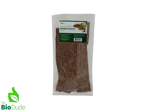 Colombian Leaf Litter - Banana Leaves (Musa sp.) -  15 Pieces/Strips