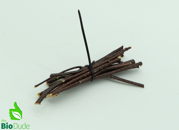 Natural Birch Branch Stalks - 5" - 7" -10 Count bag