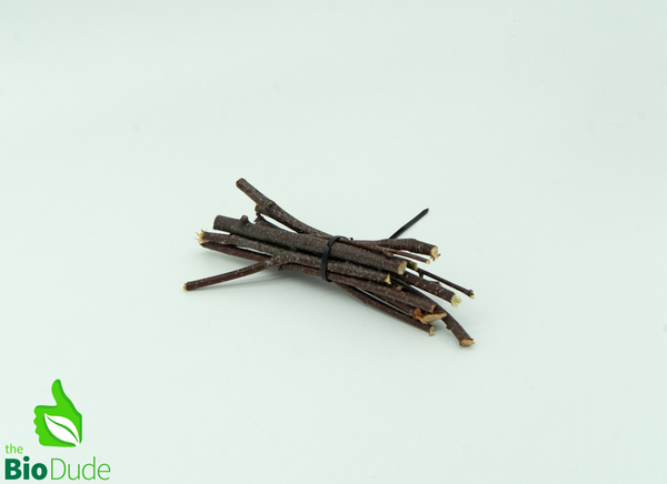 Natural Birch Branch Stalks - 5" - 7" -10 Count bag