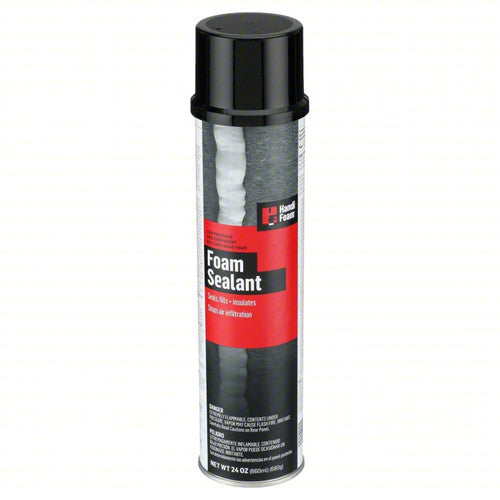 12 oz. Insulating Foam Sealant