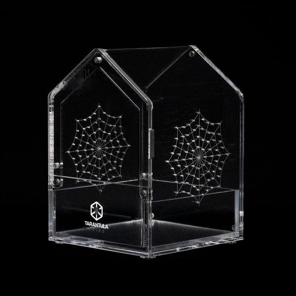 Tarantula Cribs - Canopy CORE 3x3x4 Jumping Spider Enclosure