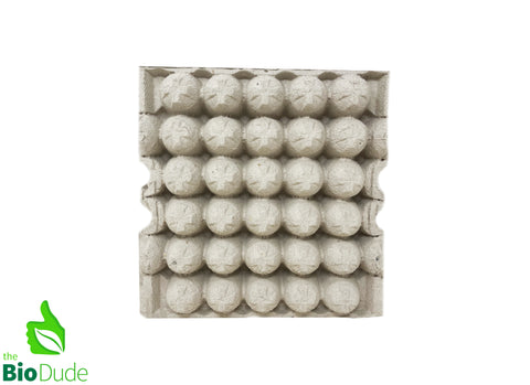 Egg Carton 10 Pack